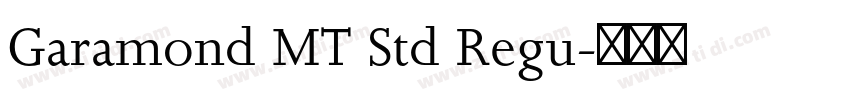 Garamond MT Std Regu字体转换
